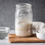 Gluten Free Sourdough Starter Recipe