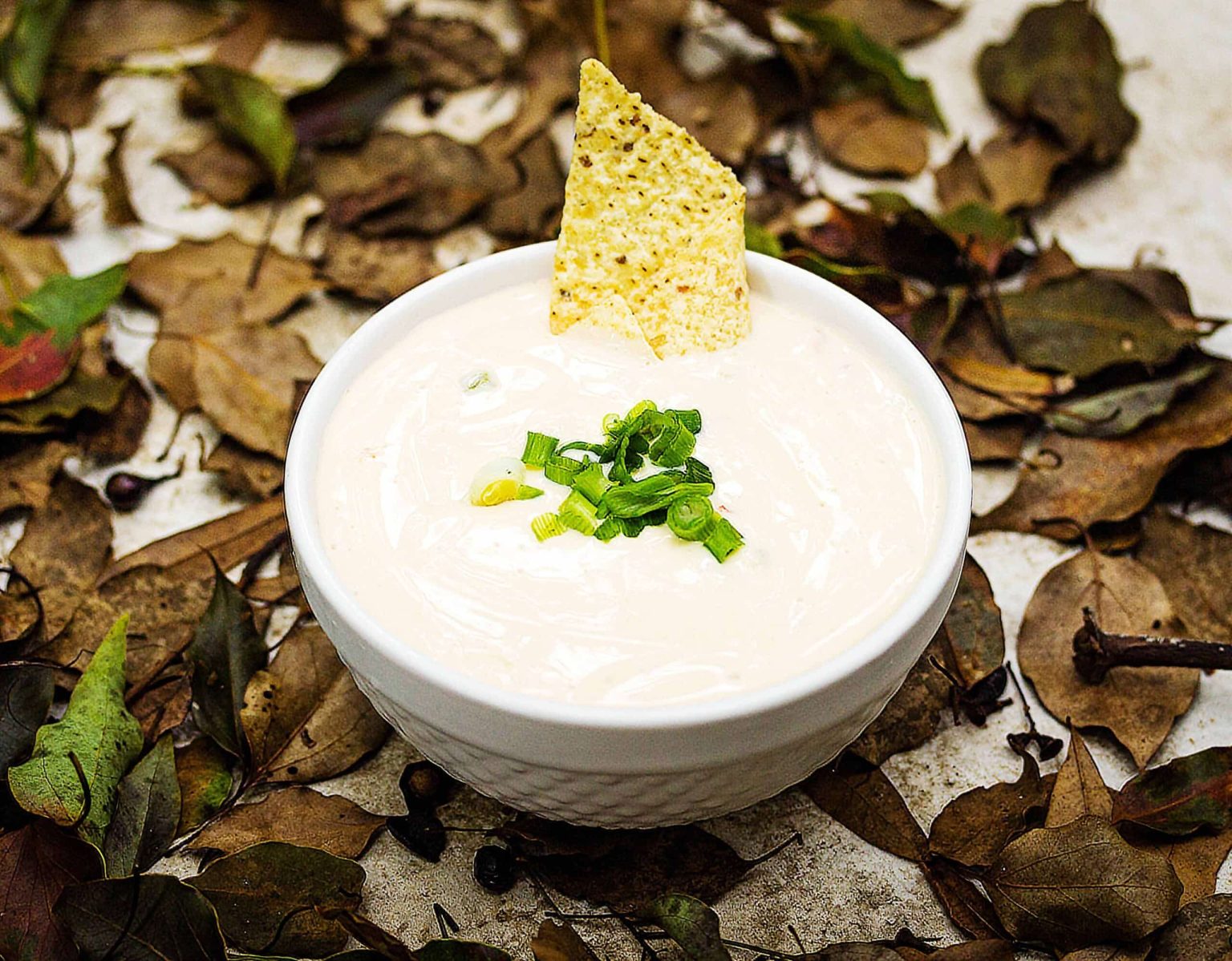 Crafting The Perfect Mexican White Cheese Dip AllSpice Blog