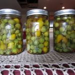 Pickled Green Tomatoes Recipe